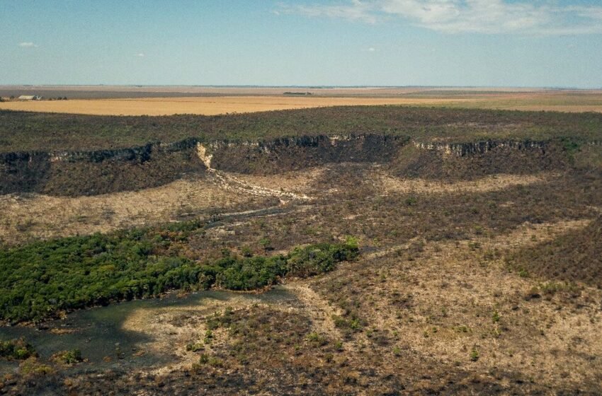  Governo monta força-tarefa para conter desmatamento no Cerrado