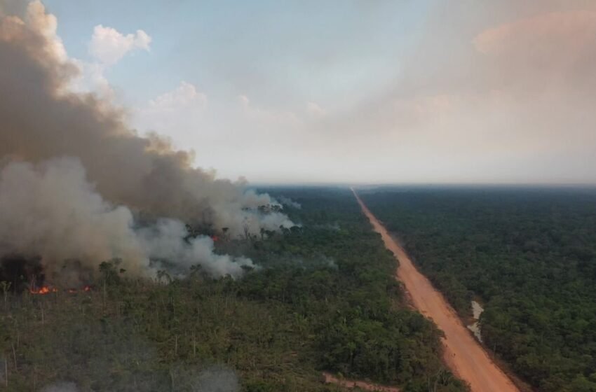  TCE-AM emite alerta aos 62 municípios para combate às queimadas e estiagem