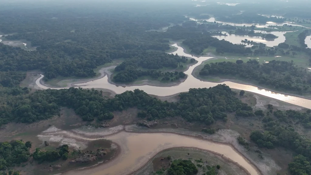 Governo do Amazonas decreta emergência em saúde pública diante de estiagem severa