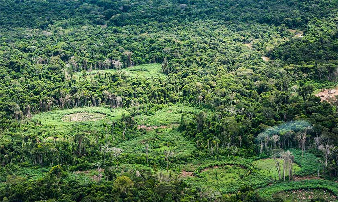 Plataforma reúne políticas públicas para impulsionar a bioeconomia na Pan-amazônia