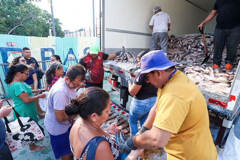 Prefeitura de Manaus beneficia cerca de 4,5 mil famílias na zona Leste com distribuição de 70 mil peixes